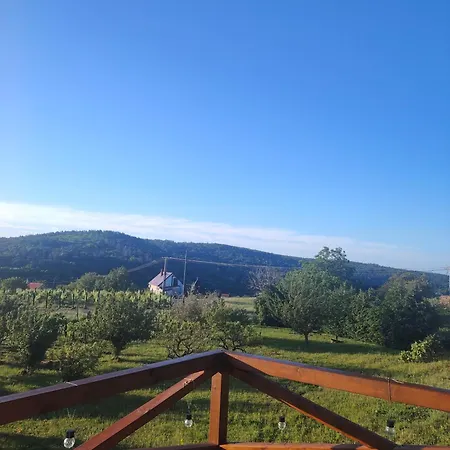 Lombfeszek Rezi
