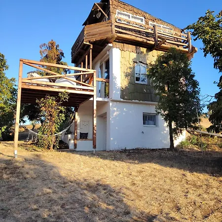 Lombfeszek Rezi